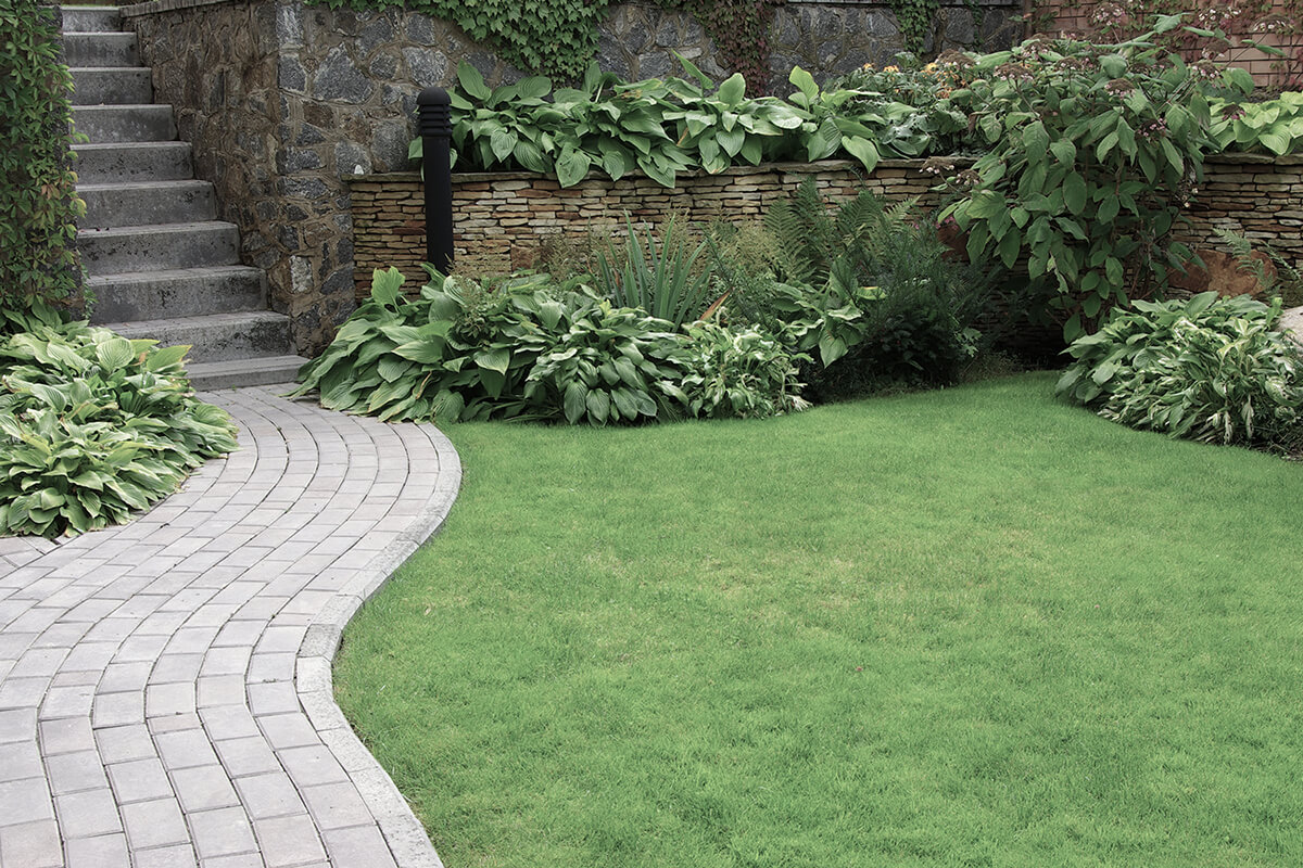 Welcome to Stewart Landscaping